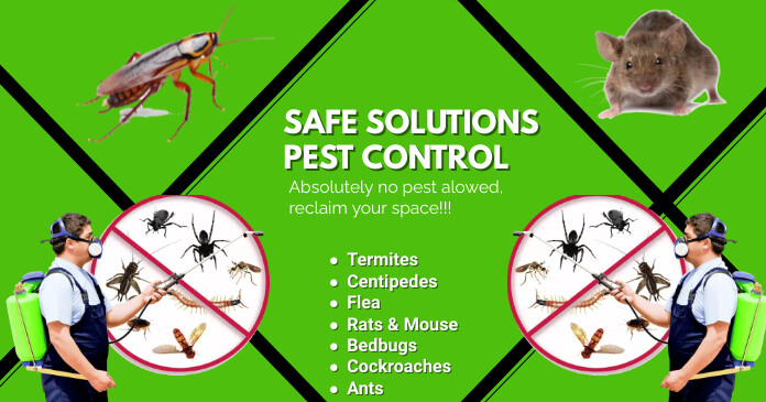 Fun Pest Control Posts pest control Facebook cover Template | PosterMyWall