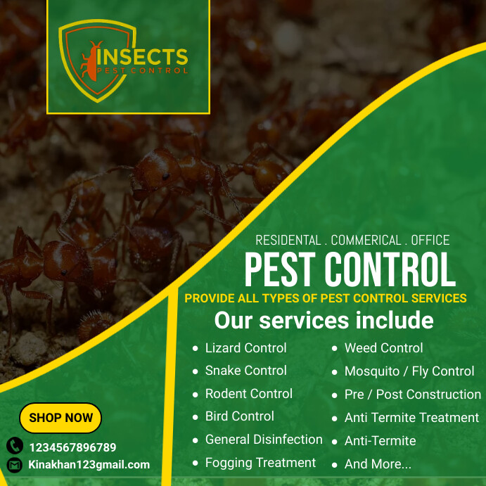 Pest Control Flyer, pest control services adv Publicación de Instagram template