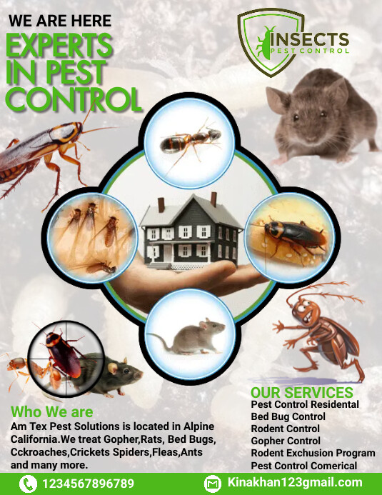 Pest Control Flyer, pest control services adv Template | PosterMyWall
