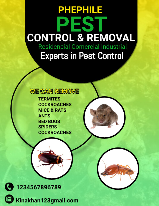 Pest Control Flyer, pest control services adv Folheto (US Letter) template