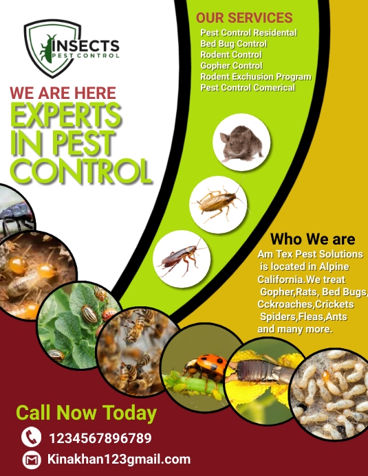 Pest Control Flyer, pest control services adv Template | PosterMyWall
