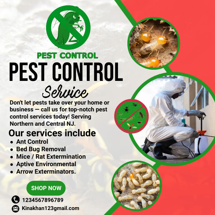 Pest Control Flyer, pest control services adv Template | PosterMyWall