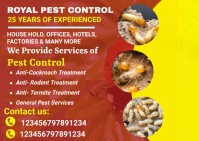 Pest Control Flyer, bed bug poster, pest cont Carte postale template