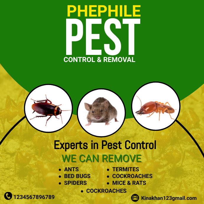 Pest Control Flyer, pest control services adv Wpis na Instagrama template