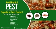 Pest Control Flyer, pest control services adv Facebook Shared Image template