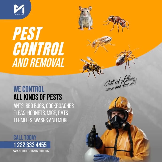 Pest Control Flyer Ad Template | PosterMyWall