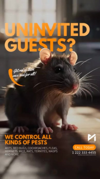 Czarny Pest Control Service Instagram Story Template