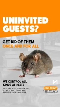Pest Control Flyer Ad Social Media Template Instagram Story