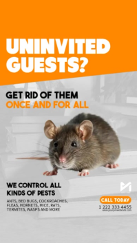 Серый Pest Control Instagram Story Template
