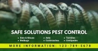 pest control flyer Imagen Compartida en Facebook template