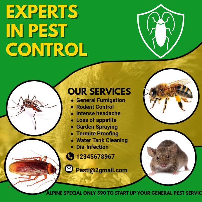 pest control flyer Template PosterMyWall