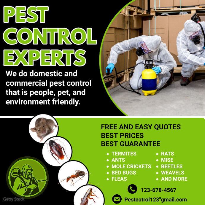 pest control flyer Template | PosterMyWall