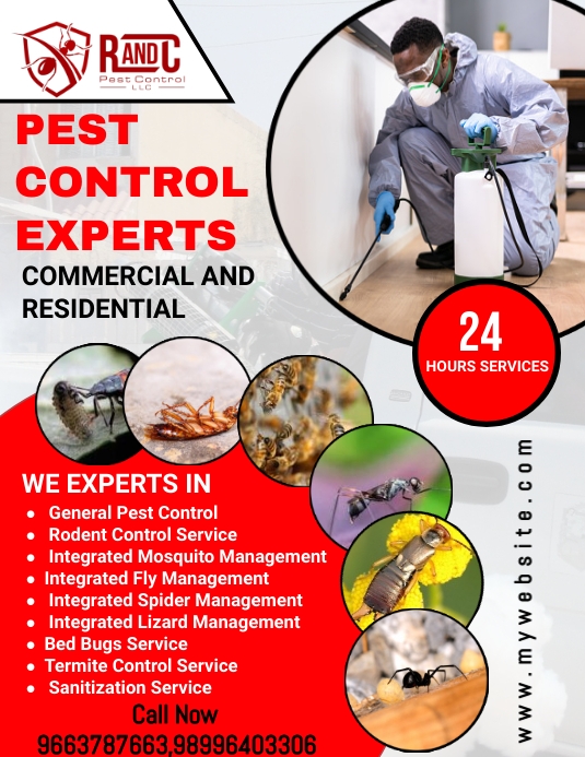 Pest Control Flyer Social Media template