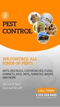 Pest Control Insta Story template