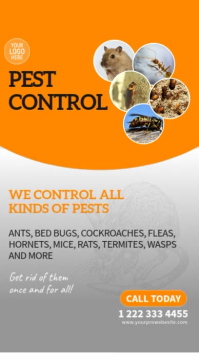 Grijs Pest Control Services Instagram Story Template