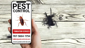 Pest Control Service Template Digital Display (16:9)