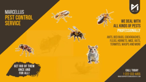 Pest Control Services Ad Digital Display (16:9) template