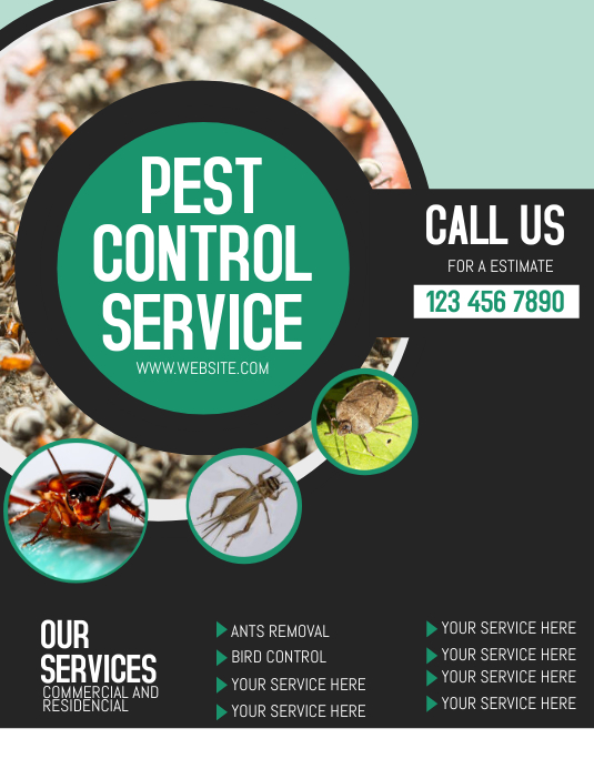 Pest Control Services 传单(美国信函) template