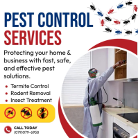 Weiß Pest Control Services Publicación de Instagram Template