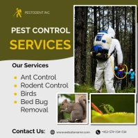 Pest control services poster template Cuadrado (1:1)