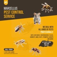 Pest Control Services Social Media Ad Template | PosterMyWall