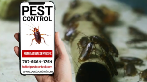 Pest Control Services Social Media Template Pantalla Digital (16:9)