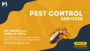 Pest Control Video Ad Digital Display (16:9) template