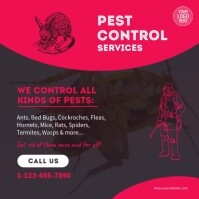 Pest Control Video Ad Template | PosterMyWall