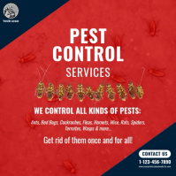 Pest Control Square Video Template Kvadrat (1:1)