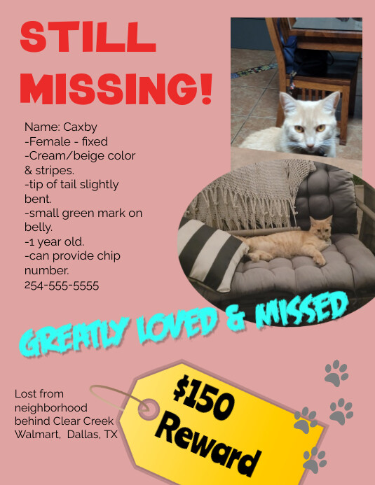 pet, veterinary, lost & found, flyer, missing Folheto (US Letter) template