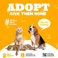 pet adopt Pos Instagram template