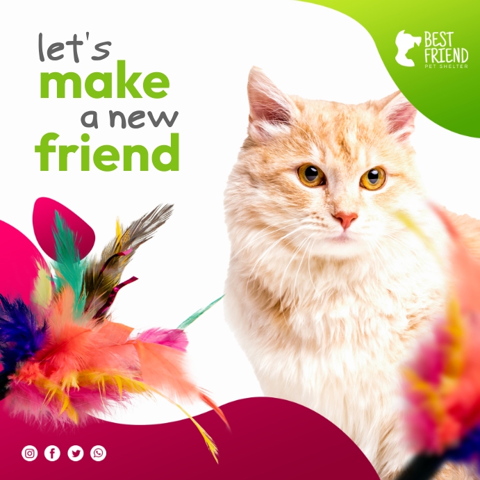 Pet Adoption Ad Template Сообщение Instagram