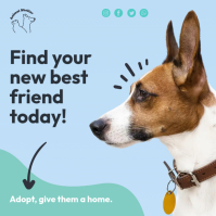 pet adoption shelter Instagram Post Template | PosterMyWall