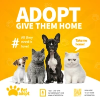 Pet Adoption Ads Carré (1:1) template
