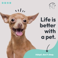 Pet Adoption Ads Instagram Post template