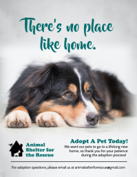 Pet Adoption Awareness Poster Template