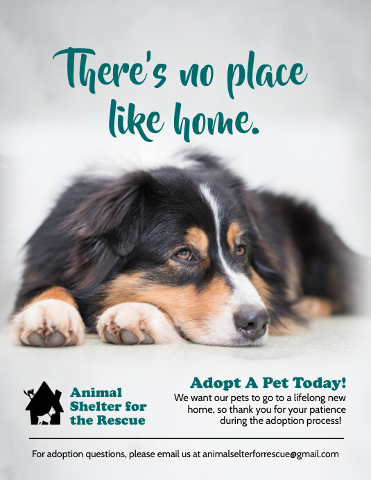 Pet adoption flyer template ~ flyer templates ~ creative market Pet Adoption Awareness Poster Template | PosterMyWall