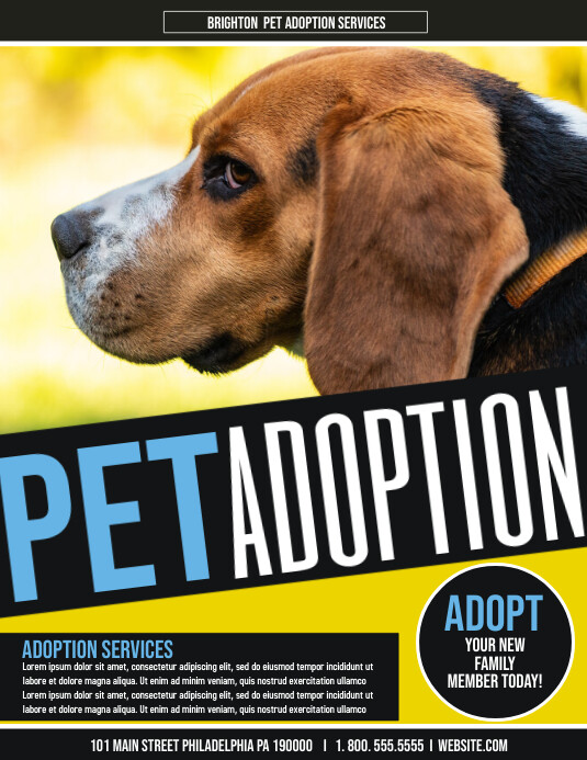 Pet Adoption Template PosterMyWall