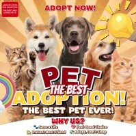 Pet Adoption Instagram Post template