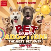 Pet Adoption Instagram-bericht template