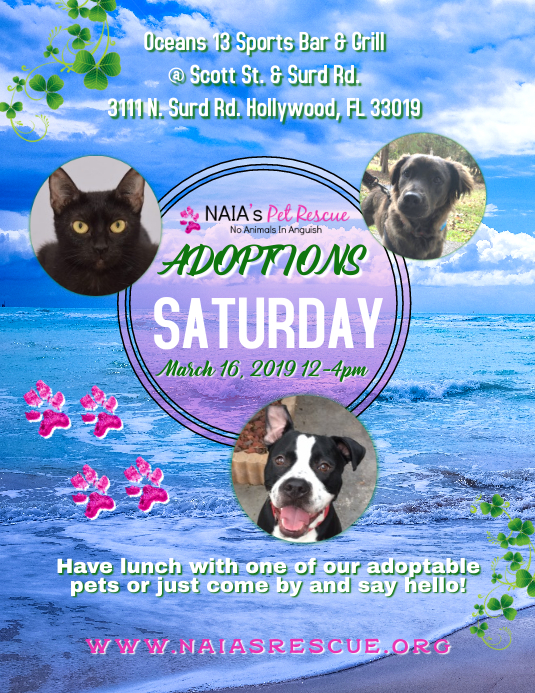 Haustier Adoption Veranstaltung Vorlage Postermywall
