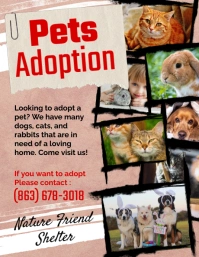 Pet Adoption Flyer template