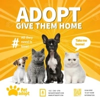 Pet Adoption Video  Ads สี่เหลี่ยมจัตุรัส (1:1) template