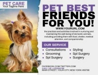 Pet Care Ads Løbeseddel (US Letter) template