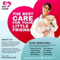 Pet Care Center Ad Instagram 帖子 template