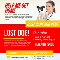 Pet care center Instagram post 方形(1:1) template