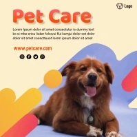 pet care Сообщение Instagram template