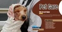 Pet Care Facebook Shared Image template