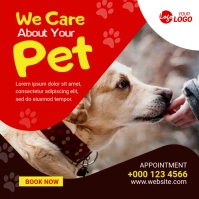 Pet Care Service Banner Ad Instagram 帖子 template