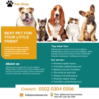 pet costumes shop Instagram post Cuadrado (1:1) template